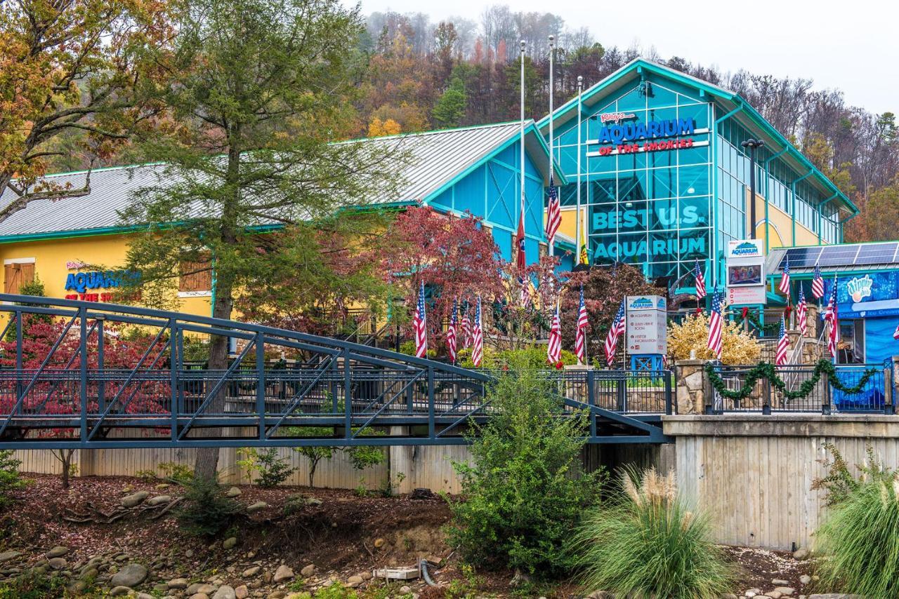 Woodland Escape Villa Pigeon Forge Dış mekan fotoğraf